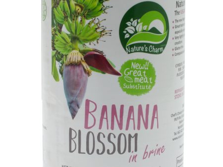 Banana Blossom in Brine Sale