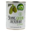 Young Green Jackfruit For Cheap