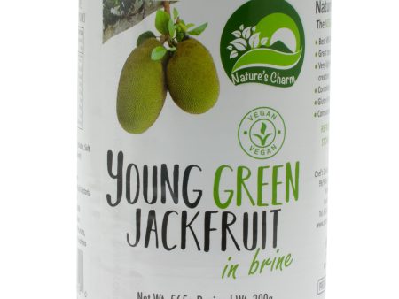 Young Green Jackfruit For Cheap