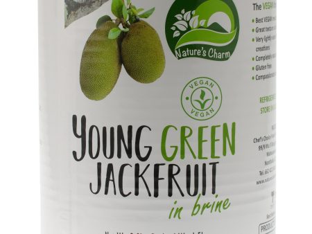 Young Green Jackfruit BULK 2.9kg Online Sale