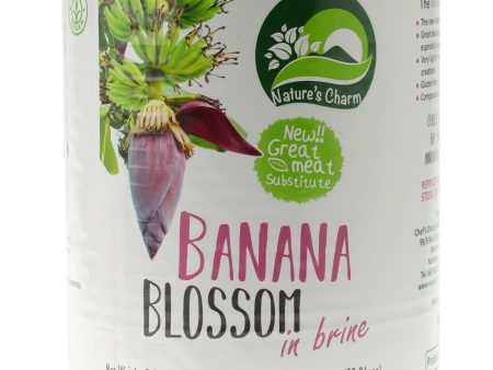 Banana Blossom in Brine BULK 2.9kg For Discount