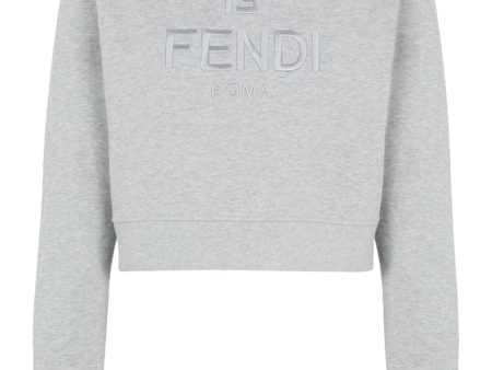 Fendi Women Gray Jersey Sweatshirt Online