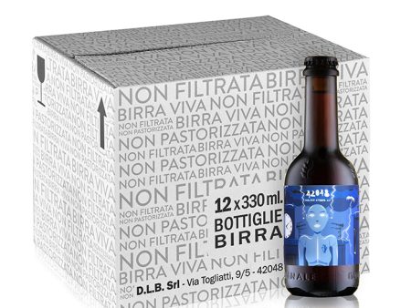 42048 - English strong ale - box 12 bottiglie 0.33L. Online now