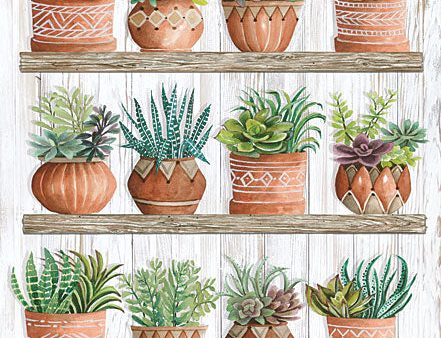 CIN1937 - Succulents on Shelves - 12x16 Sale